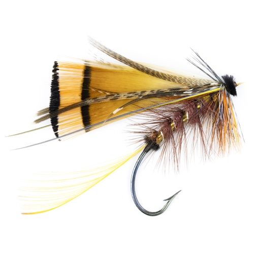 [cal-blk-shn-2] Calzolari Blacker Shannon #2