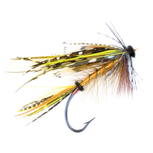 [cal-blk-shn-5] Calzolari Blacker Shannon #5
