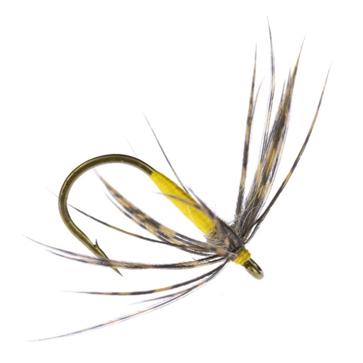 [ACGY-12] Calzolari Grouse & Yellow
