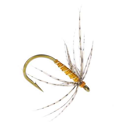 [ACOP-14] Calzolari Orange Partridge