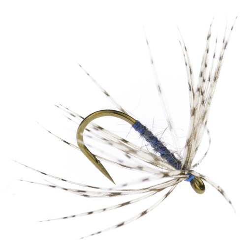 [ACPB-14] Calzolari Partridge & Blue