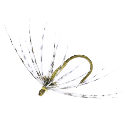 [ACPY-16] Calzolari Partridge & Yellow