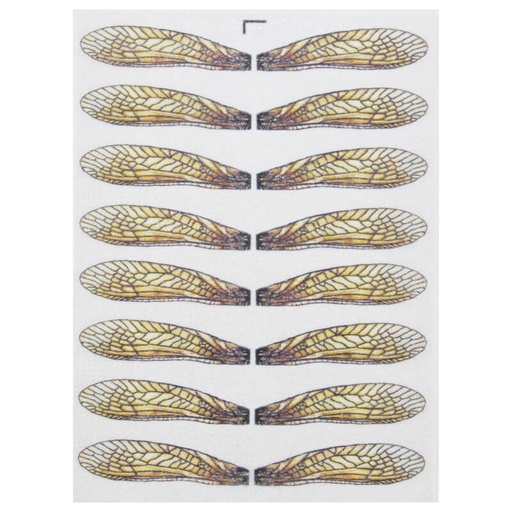 Celeschi Realistic Wings Stonefly