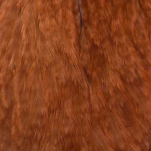Ewing Hen Cape
