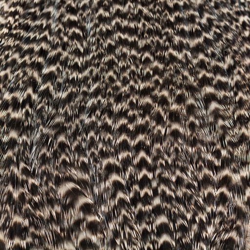 [EW-HEN-1-G-NAT] Ewing Collo Gallina Grizzly
