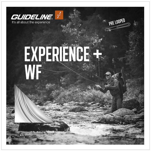 Guideline Coda Experience+ WF