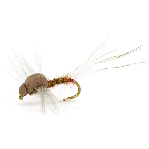 INS Dry Fly Sherry Spent