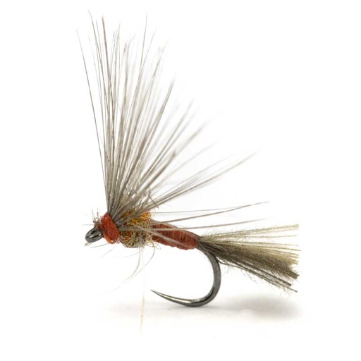 [54DS-PM16-IGEX] Luis Meana Fly PM18IGEX