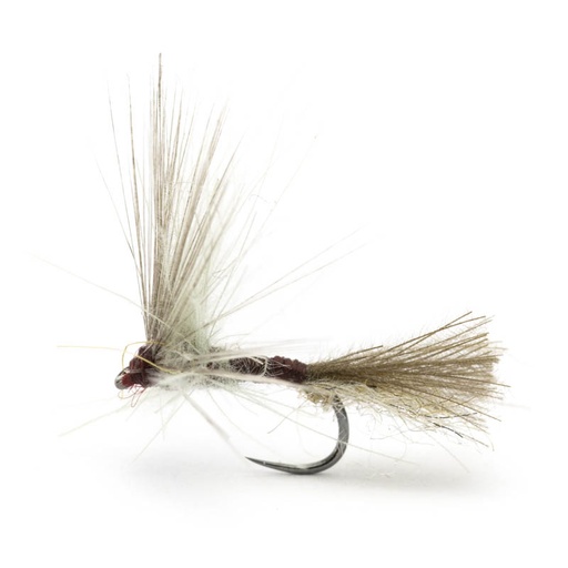 [54DS-PME16-FXBD] Luis Meana Fly PME16FXBD