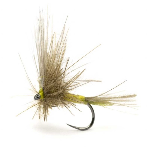 [54DS-PME16-GAC] Luis Meana Fly PME16GAC