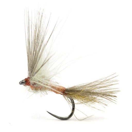 [54DS-PME16-IGBD] Luis Meana Fly PME16IGBD
