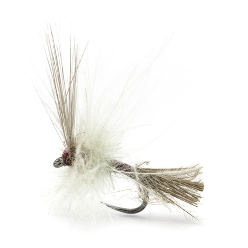 [54DS-PME18-FXBD] Luis Meana Fly PME18FXBD