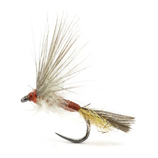 [54DS-PME18-IGBD] Luis Meana Fly PME18IGBD