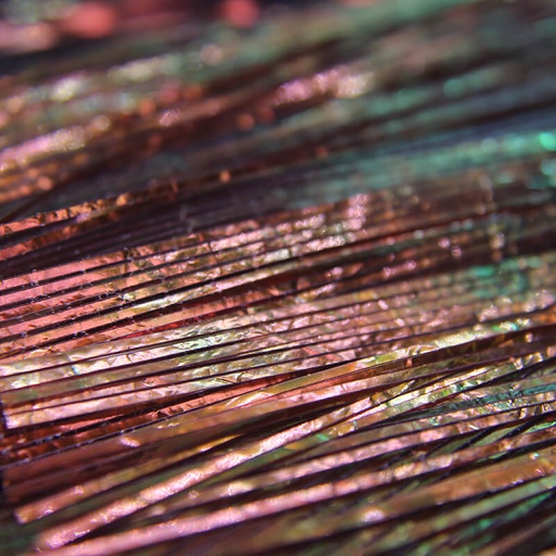 Perdigonmania Lamina Iridescente