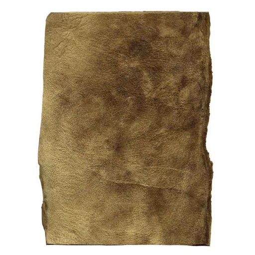 [AA6] Petitjean Amadou Sheet