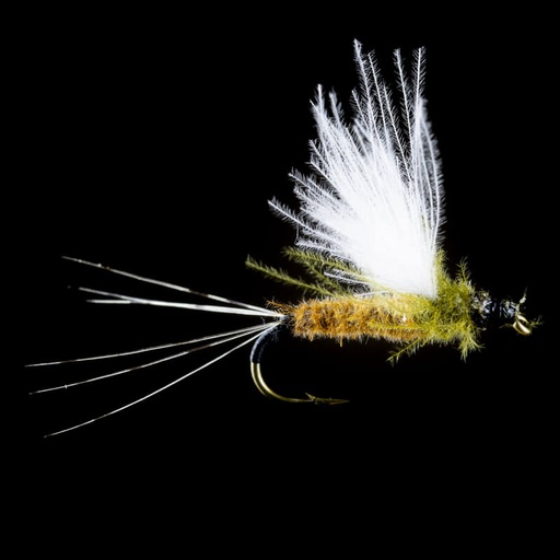Petitjean May Fly CDC Dry Mono Wing