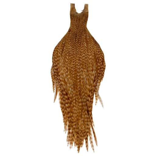 Root River Collo Barred Ginger