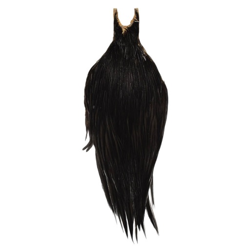 Root River Cape Black
