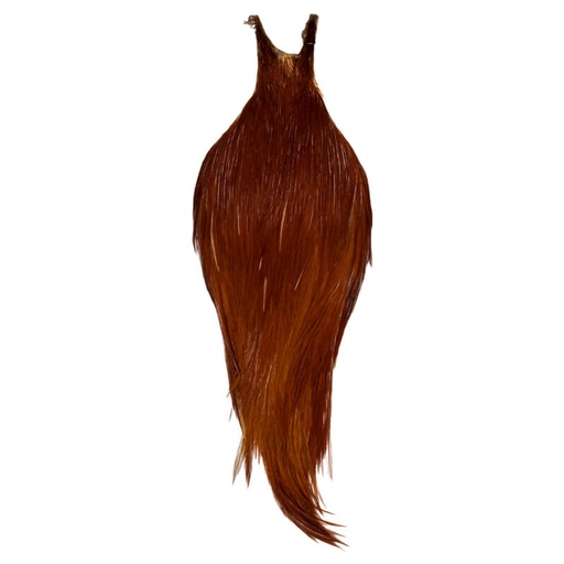 Root River Cape Brown