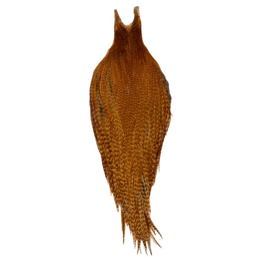 Root River Cape Dark Barred Ginger