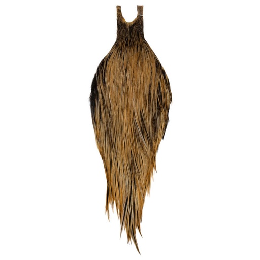 Root River Cape Golden Badger