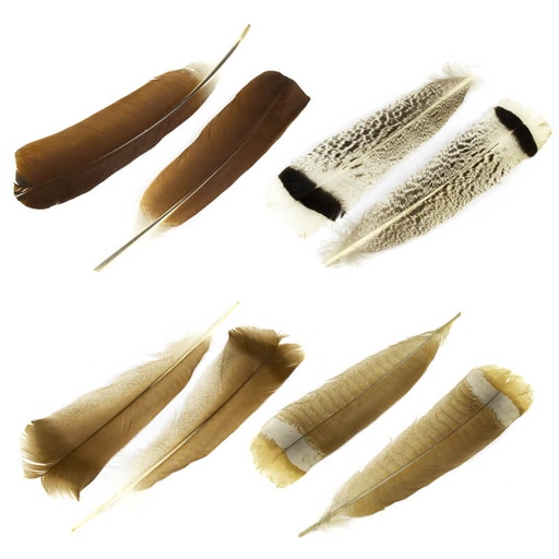 [54DS-TRK-FTH-2pcs] Turkey Feathers 2pcs