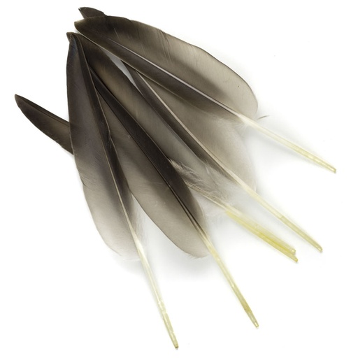 [VEN-MLD-QLL] Veniard Mallard Duck Wing Quills