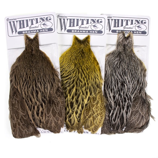 Whiting Brahma Hen Cape