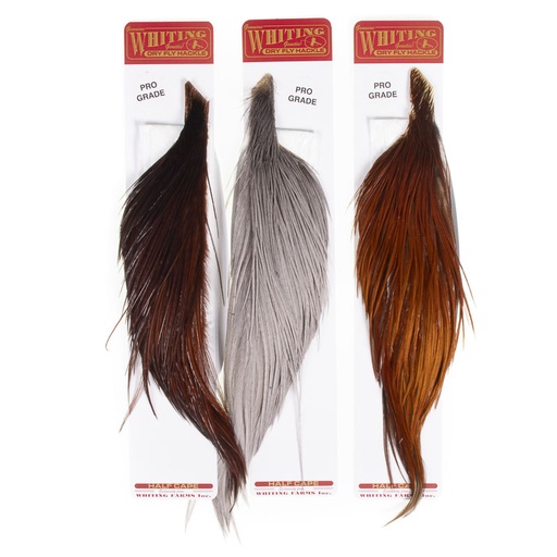 Whiting Mezzo Collo Gallo
