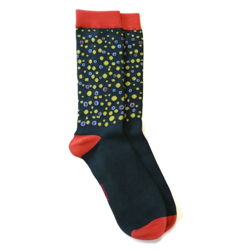 Wingo Everyday Socks Brook Trout