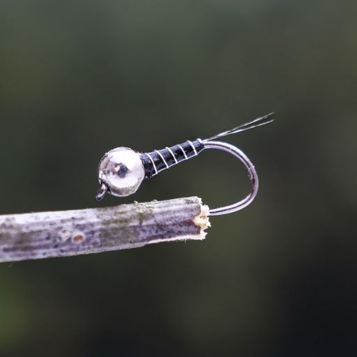 MBB Zebra