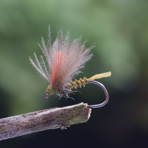 MBB Biot Emerger