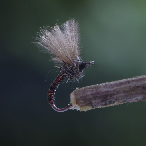 MBB R-Midge