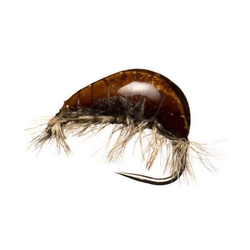 Jan Rozman Dark Brown Gammarus
