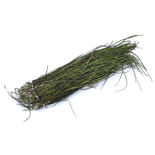 [QF-PH] Quill&Fly Herl di Pavone