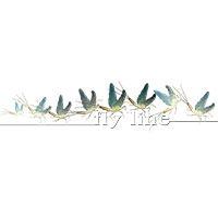 Fly Line Edizioni
